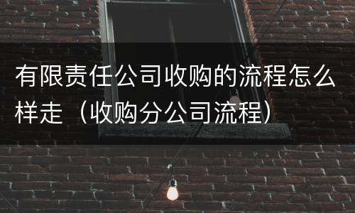 有限责任公司收购的流程怎么样走（收购分公司流程）