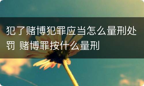 犯了赌博犯罪应当怎么量刑处罚 赌博罪按什么量刑