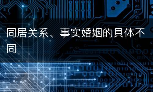 同居关系、事实婚姻的具体不同