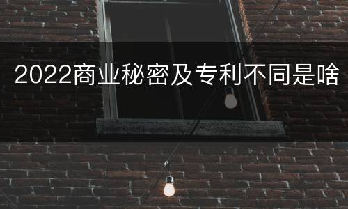 2022商业秘密及专利不同是啥