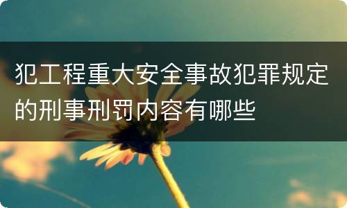 犯工程重大安全事故犯罪规定的刑事刑罚内容有哪些