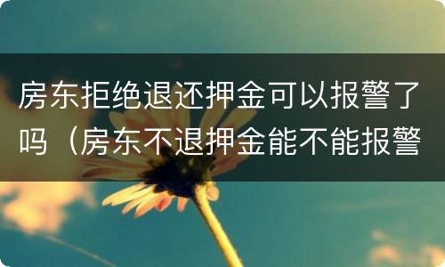 房东拒绝退还押金可以报警了吗（房东不退押金能不能报警）