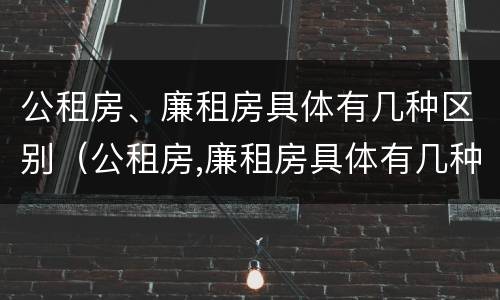 公租房、廉租房具体有几种区别（公租房,廉租房具体有几种区别）