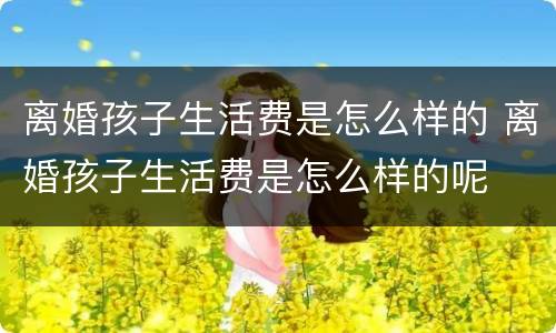 离婚孩子生活费是怎么样的 离婚孩子生活费是怎么样的呢