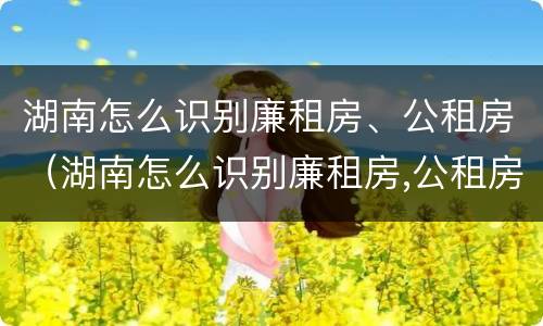 湖南怎么识别廉租房、公租房（湖南怎么识别廉租房,公租房的真假）