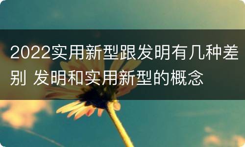 2022实用新型跟发明有几种差别 发明和实用新型的概念