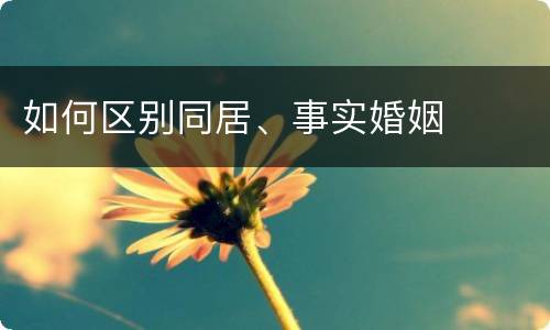 如何区别同居、事实婚姻