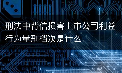 刑法中背信损害上市公司利益行为量刑档次是什么