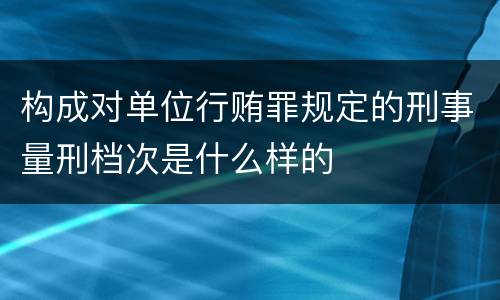 构成对单位行贿罪规定的刑事量刑档次是什么样的