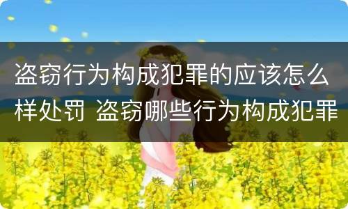 盗窃行为构成犯罪的应该怎么样处罚 盗窃哪些行为构成犯罪