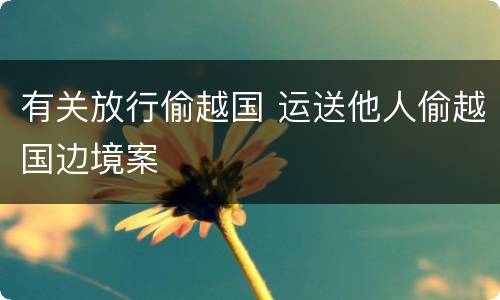 有关放行偷越国 运送他人偷越国边境案