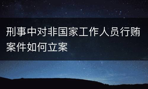 刑事中对非国家工作人员行贿案件如何立案