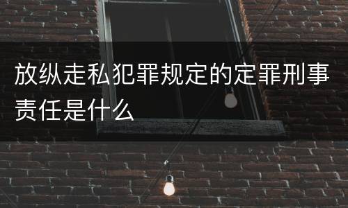 放纵走私犯罪规定的定罪刑事责任是什么