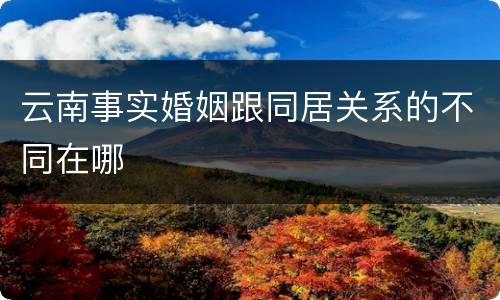 云南事实婚姻跟同居关系的不同在哪