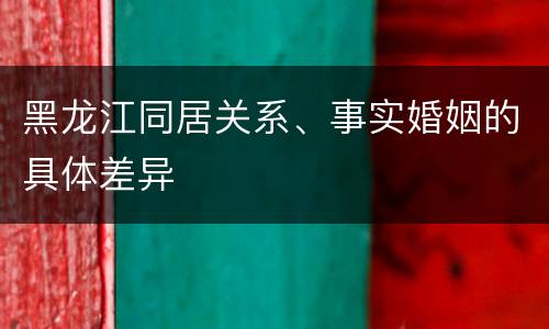黑龙江同居关系、事实婚姻的具体差异