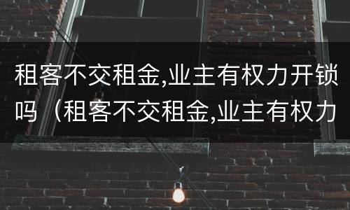 租客不交租金,业主有权力开锁吗（租客不交租金,业主有权力开锁吗合法吗）