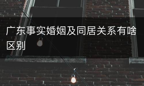 广东事实婚姻及同居关系有啥区别
