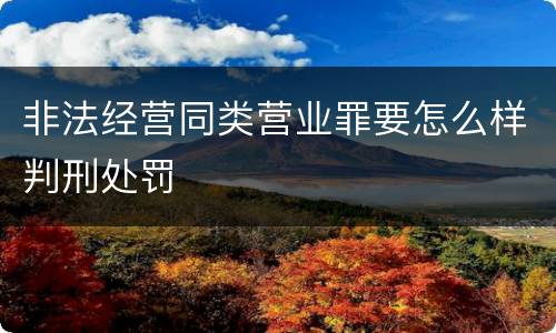 非法经营同类营业罪要怎么样判刑处罚