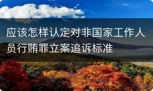 应该怎样认定对非国家工作人员行贿罪立案追诉标准