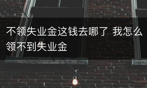 不领失业金这钱去哪了 我怎么领不到失业金