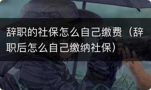 辞职的社保怎么自己缴费（辞职后怎么自己缴纳社保）