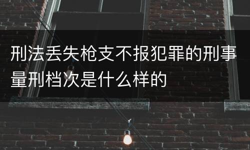刑法丢失枪支不报犯罪的刑事量刑档次是什么样的