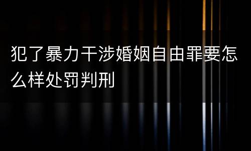 犯了暴力干涉婚姻自由罪要怎么样处罚判刑