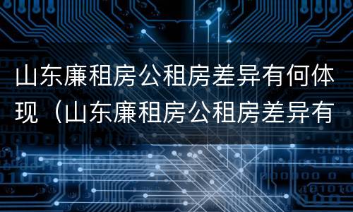 山东廉租房公租房差异有何体现（山东廉租房公租房差异有何体现呢）