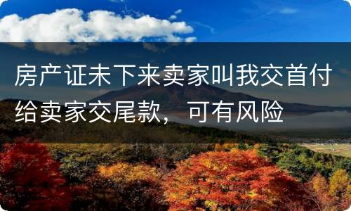 房产证未下来卖家叫我交首付给卖家交尾款，可有风险