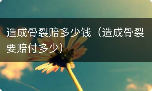 造成骨裂赔多少钱（造成骨裂要赔付多少）