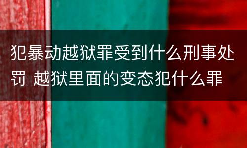 犯暴动越狱罪受到什么刑事处罚 越狱里面的变态犯什么罪
