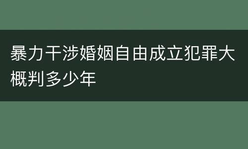 暴力干涉婚姻自由成立犯罪大概判多少年