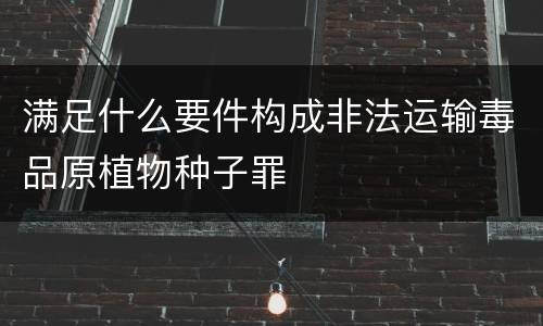 满足什么要件构成非法运输毒品原植物种子罪