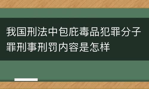 我国刑法中包庇毒品犯罪分子罪刑事刑罚内容是怎样