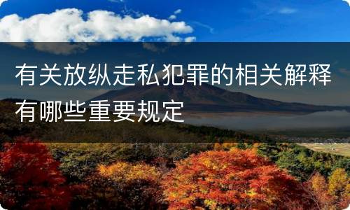 有关放纵走私犯罪的相关解释有哪些重要规定
