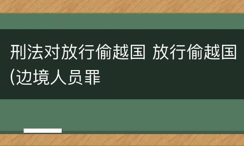 刑法对放行偷越国 放行偷越国(边境人员罪