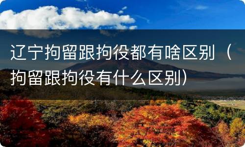 辽宁拘留跟拘役都有啥区别（拘留跟拘役有什么区别）