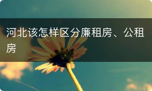 河北该怎样区分廉租房、公租房