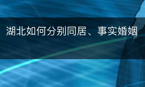 湖北如何分别同居、事实婚姻