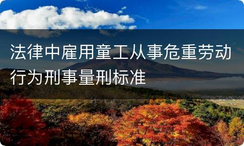 法律中雇用童工从事危重劳动行为刑事量刑标准