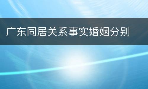 广东同居关系事实婚姻分别
