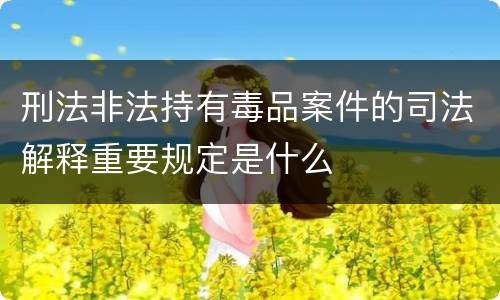 刑法非法持有毒品案件的司法解释重要规定是什么