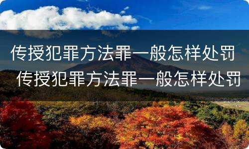 传授犯罪方法罪一般怎样处罚 传授犯罪方法罪一般怎样处罚呢