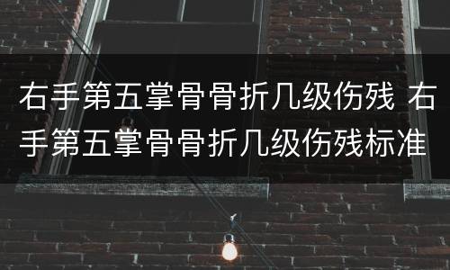 右手第五掌骨骨折几级伤残 右手第五掌骨骨折几级伤残标准