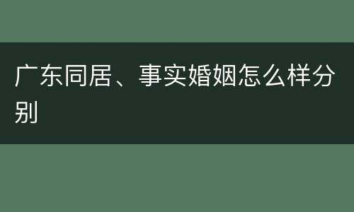 广东同居、事实婚姻怎么样分别