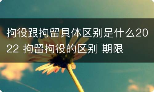 拘役跟拘留具体区别是什么2022 拘留拘役的区别 期限