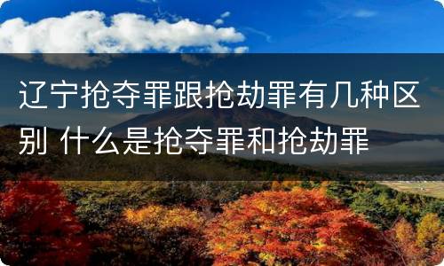 辽宁抢夺罪跟抢劫罪有几种区别 什么是抢夺罪和抢劫罪