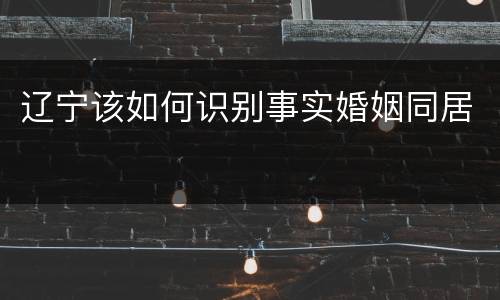 辽宁该如何识别事实婚姻同居