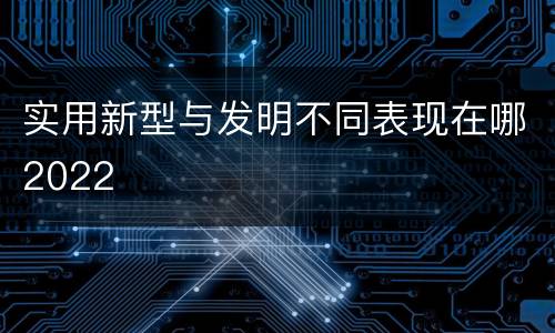实用新型与发明不同表现在哪2022