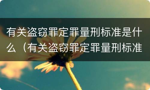 有关盗窃罪定罪量刑标准是什么（有关盗窃罪定罪量刑标准是什么规定）